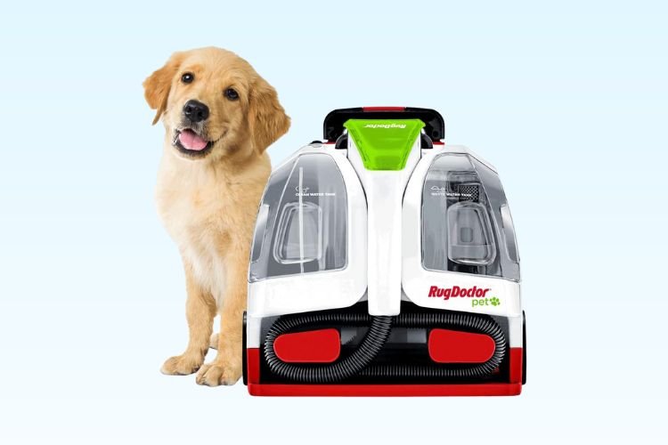 Rug Doctor Pet Portable Spot Cleaner