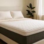 Best Mattress for Stomach Sleepers with Back Pain