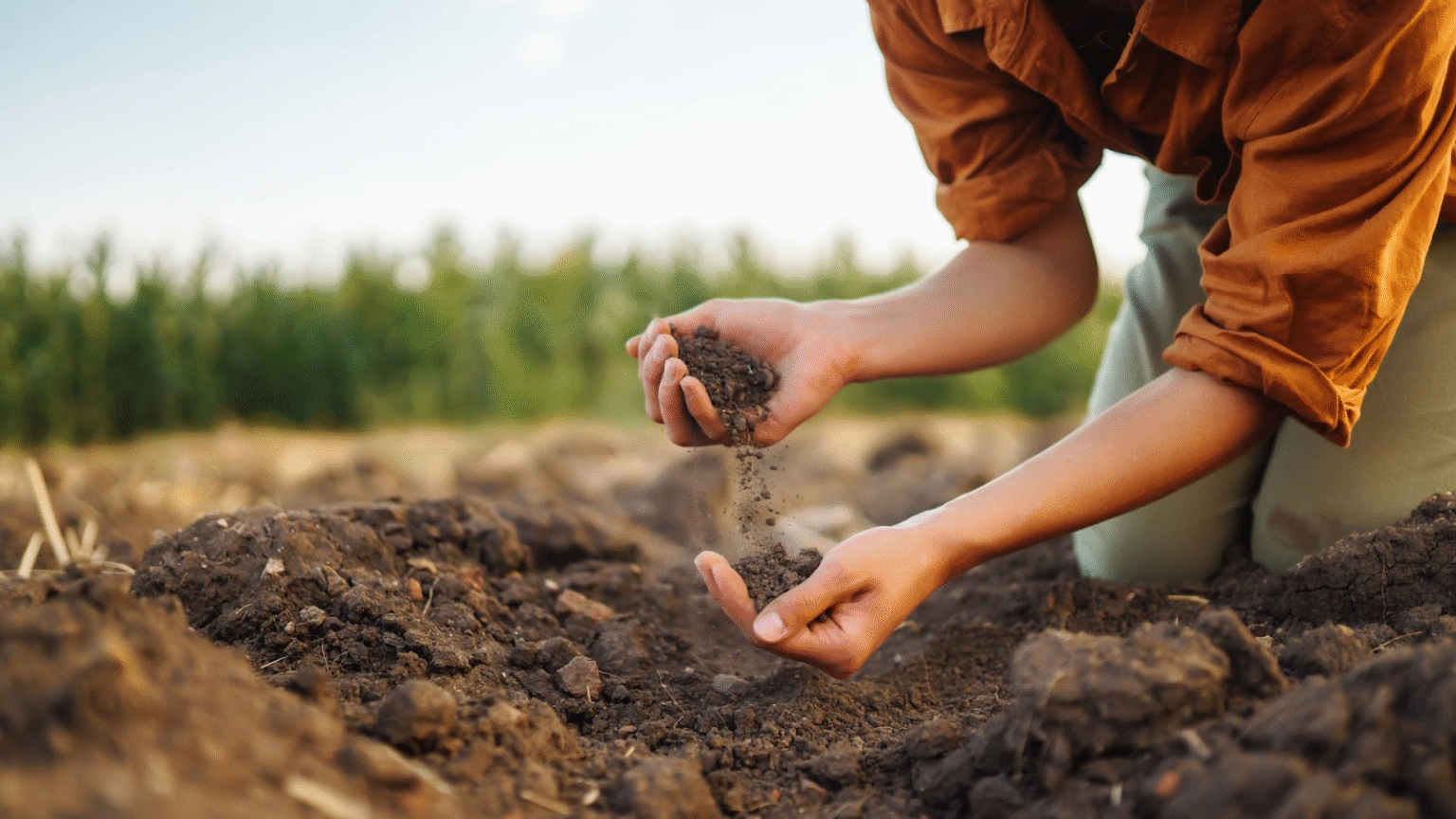 How To Lower PH in Soil