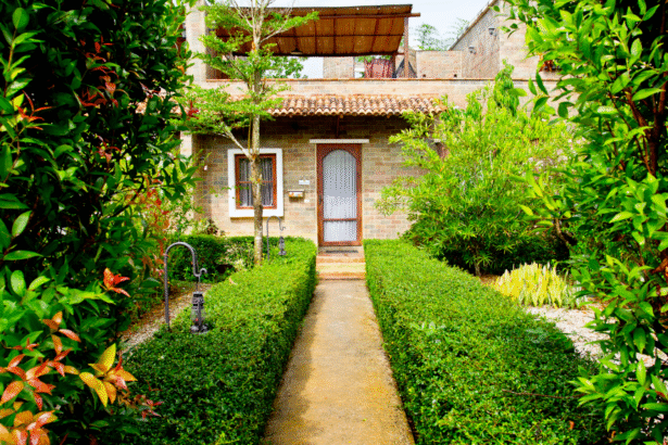 Recreate Italian gardens in your backyard