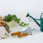 What Gardening Tools Do Beginners Need