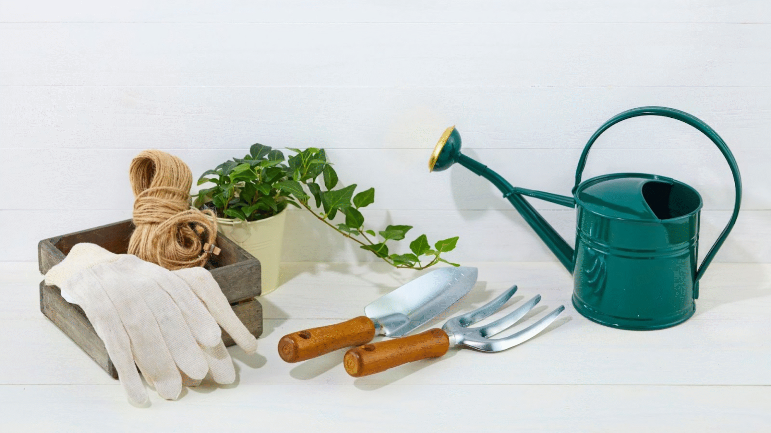 What Gardening Tools Do Beginners Need